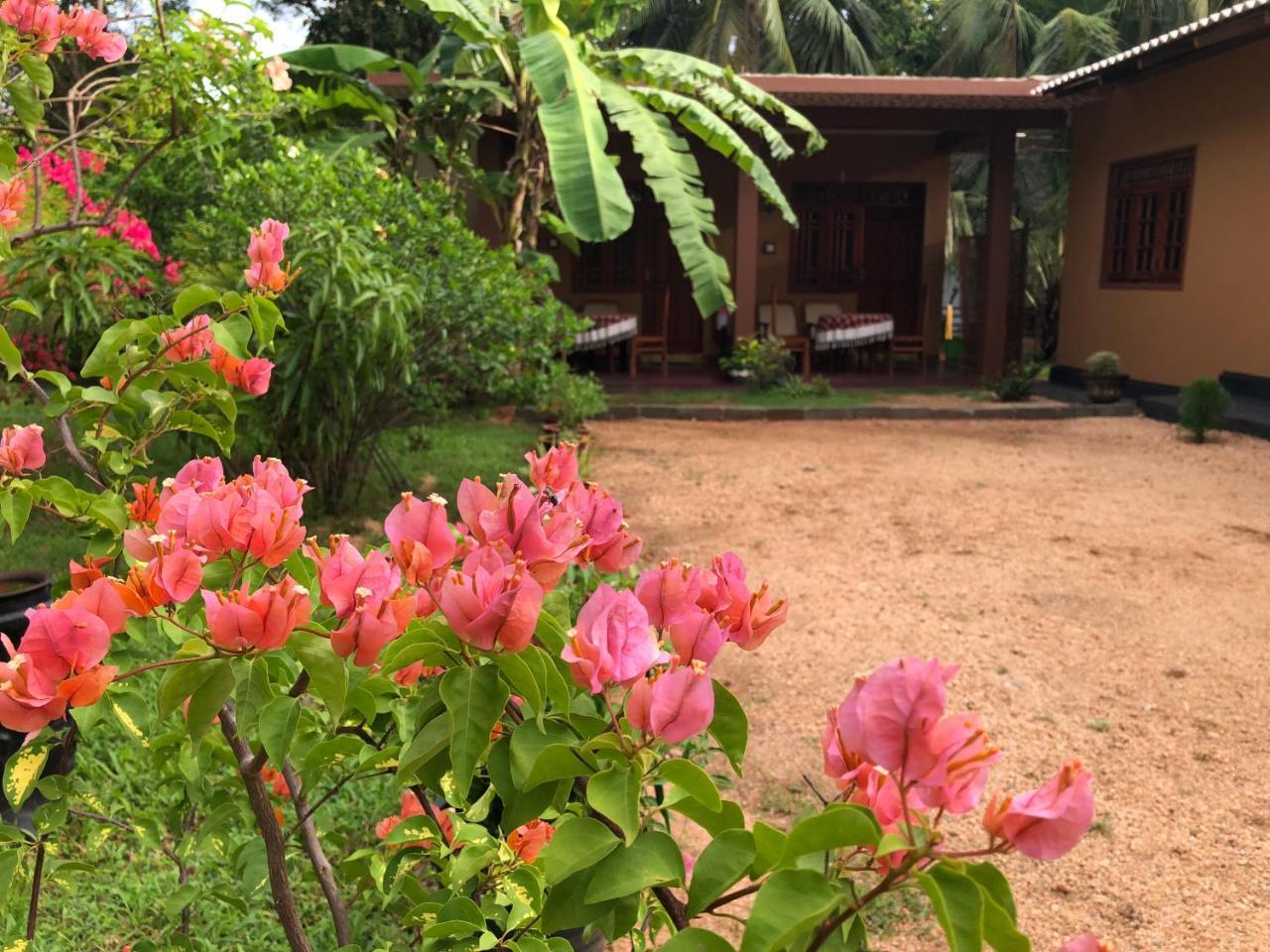 Sigiriya Nature Villa Lodge Exterior photo