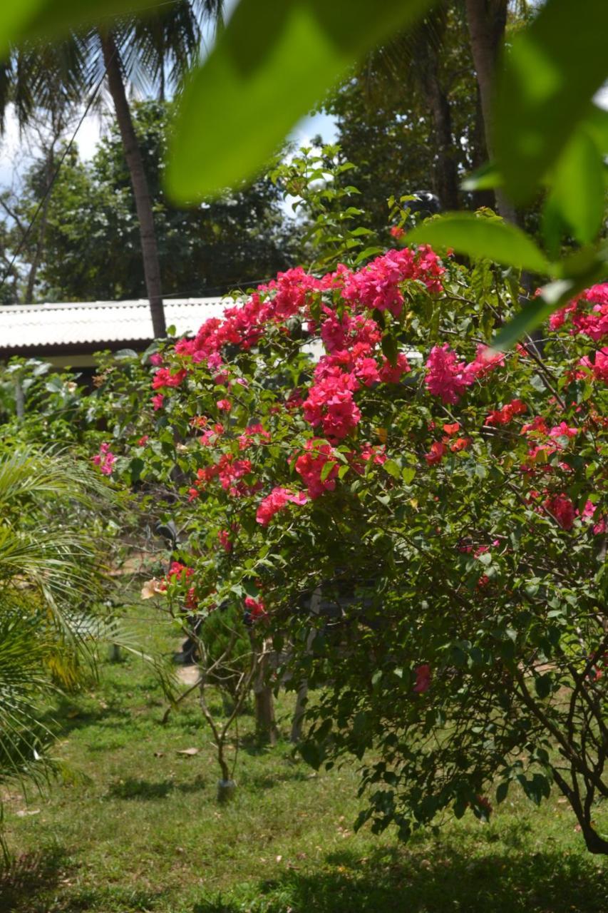 Sigiriya Nature Villa Lodge Exterior photo